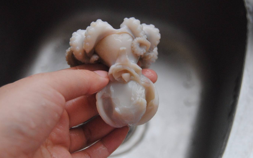 八爪魚(yú)怎么清洗