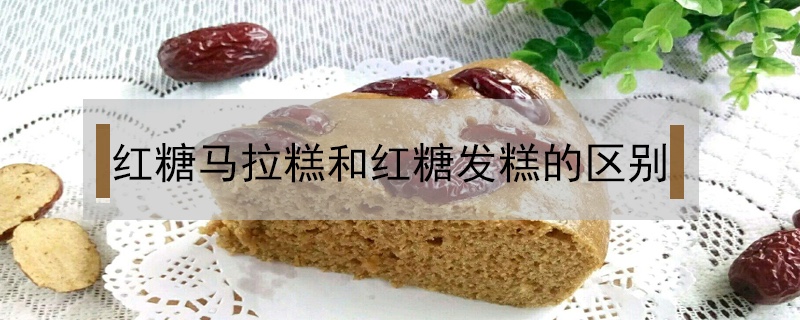 紅糖馬拉糕和紅糖發糕的區別