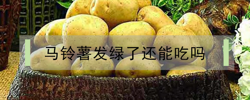 馬鈴薯發綠了還能吃嗎