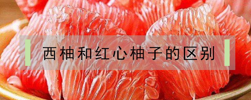 西柚和紅心柚子的區(qū)別