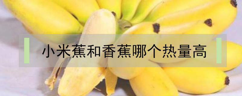 小米蕉和香蕉哪個(gè)熱量高
