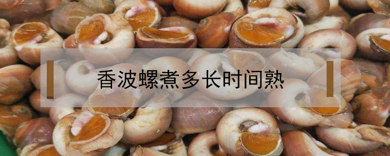 香波螺煮多長(zhǎng)時(shí)間熟