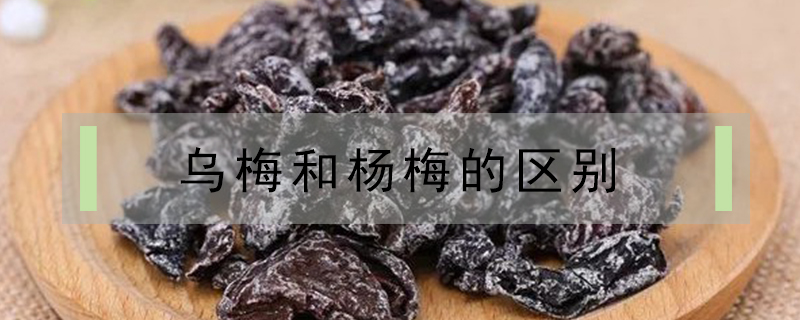 烏梅和楊梅的區(qū)別