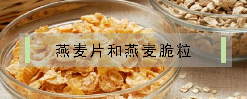 燕麥脆粒和燕麥片區別