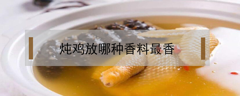 燉雞放哪種香料最香