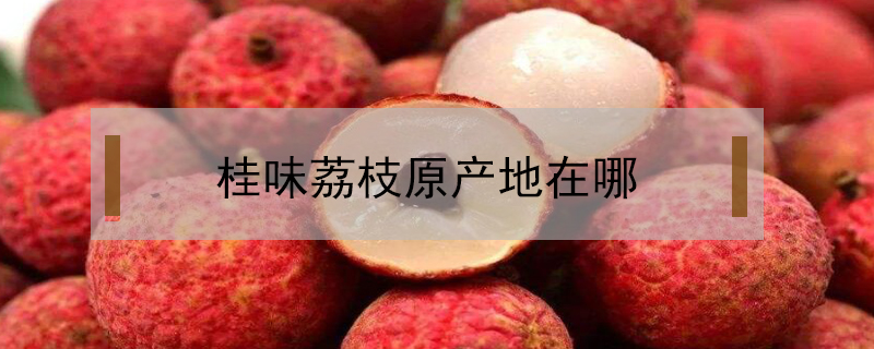 桂味荔枝原產(chǎn)地在哪