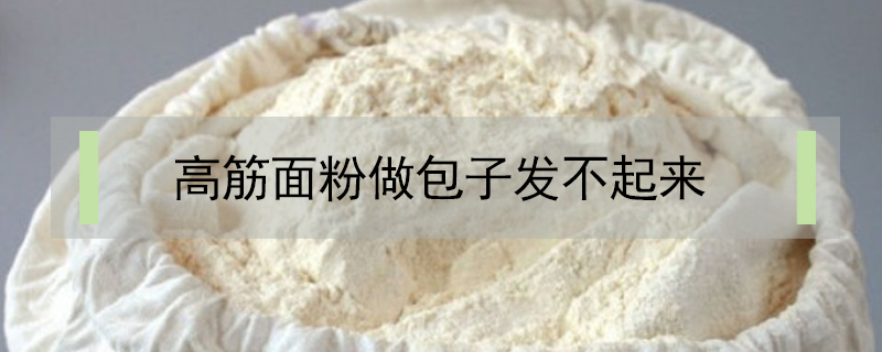 高筋面粉做包子發(fā)不起來
