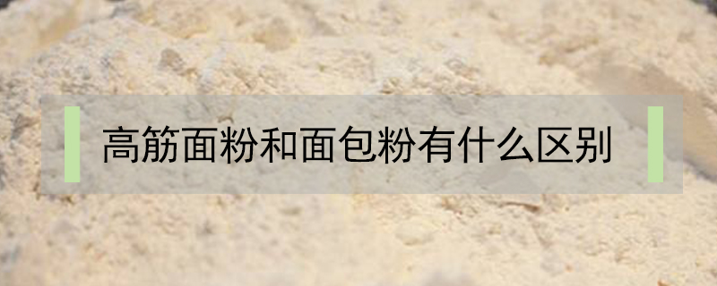 高筋面粉和面包粉有什么區別
