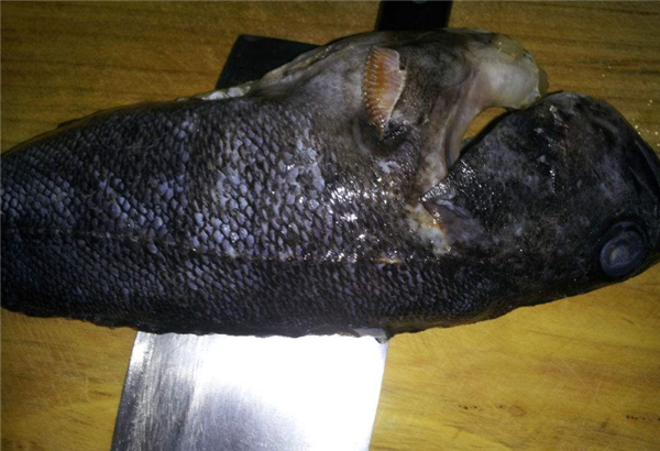 黑魚怎么洗掉身上粘液