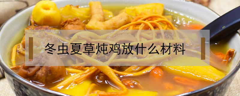 冬蟲夏草燉雞放什么材料