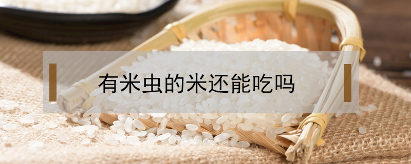 有米蟲(chóng)的米還能吃嗎