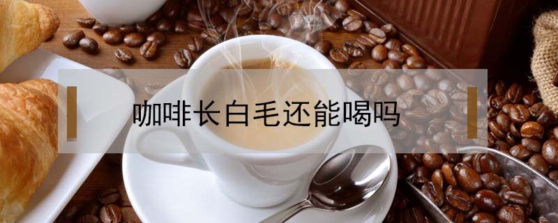 咖啡長白毛還能喝嗎