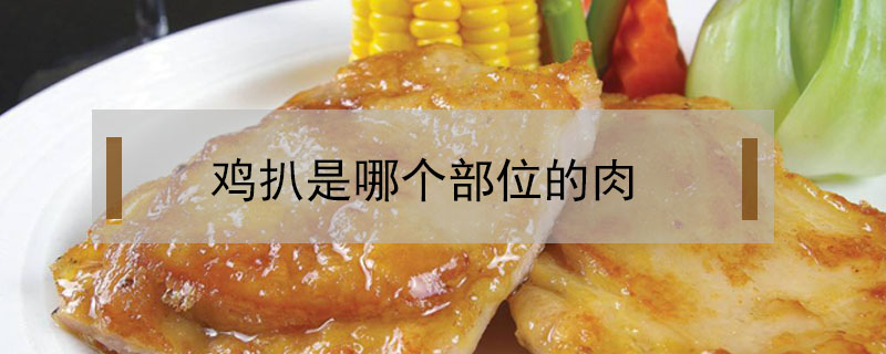 雞扒是哪個部位的肉