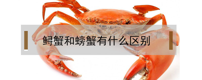 鱘蟹和螃蟹有什么區別