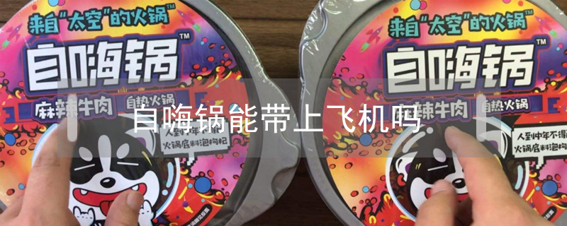 自嗨鍋能帶上飛機(jī)嗎