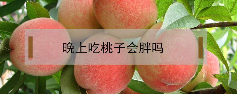 晚上吃桃子會(huì)胖嗎