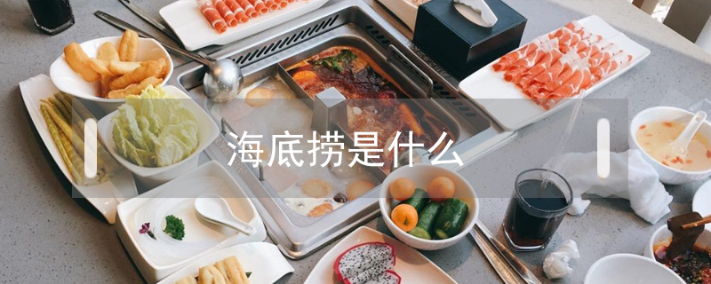 海底撈是什么