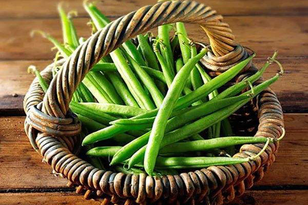 四季豆有斑點(diǎn)還能吃嗎