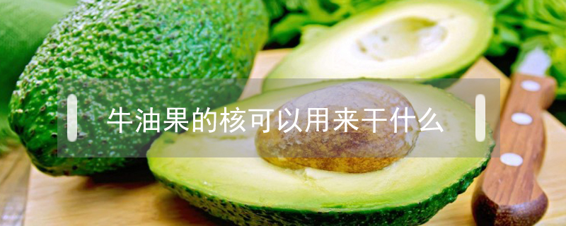牛油果的核可以用來(lái)干什么