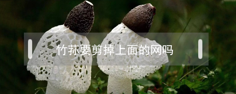 竹蓀要剪掉上面的網嗎