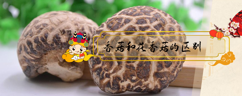 香菇和花香菇的區(qū)別