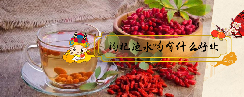 枸杞泡水喝有什么好處