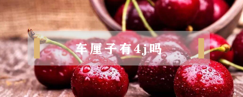 車?yán)遄佑?j嗎