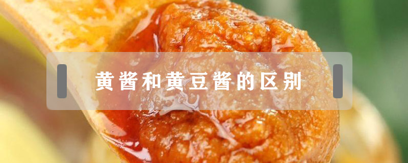 黃醬和黃豆醬的區(qū)別