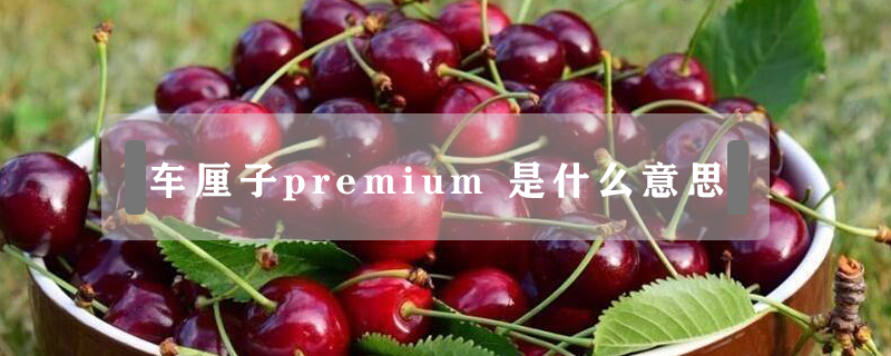車?yán)遄觩remium 是什么意思