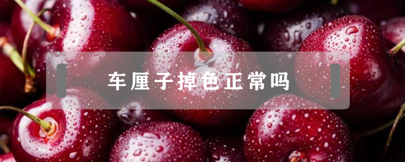 車?yán)遄拥羯?></a>
						<a href=