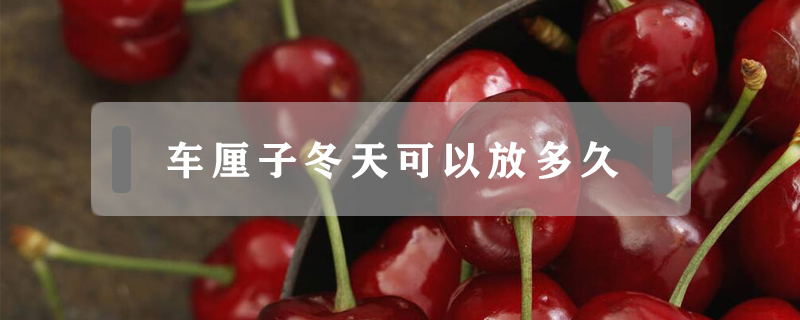 車?yán)遄佣炜梢苑哦嗑?></a>
						<a href=