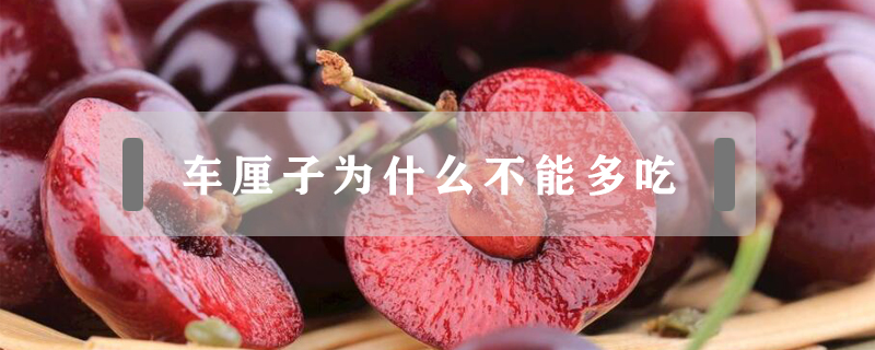 車?yán)遄訛槭裁床荒芏喑?></a>
						<a href=