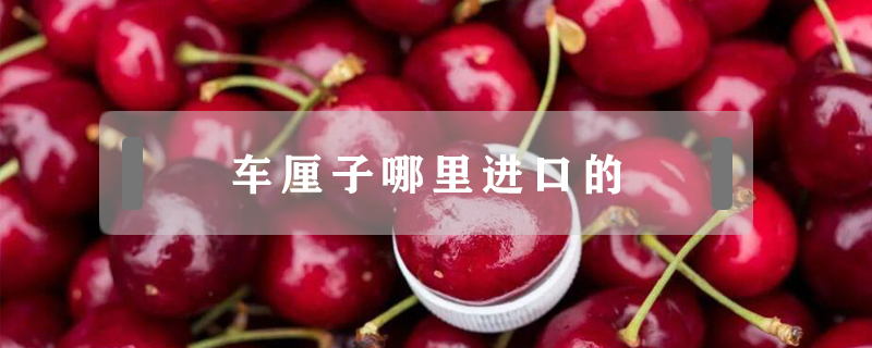 車?yán)遄幽睦镞M(jìn)口的