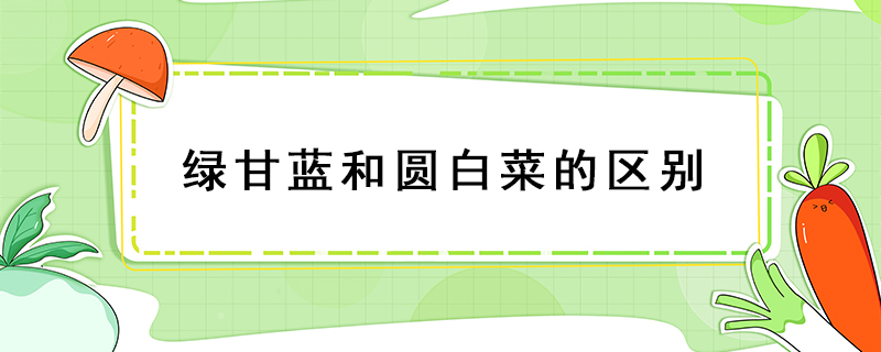 綠甘藍和圓白菜的區(qū)別