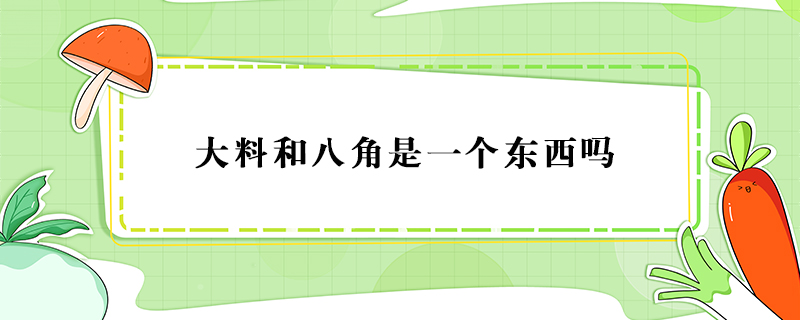 大料和八角是一個東西嗎