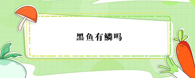 黑魚有鱗嗎