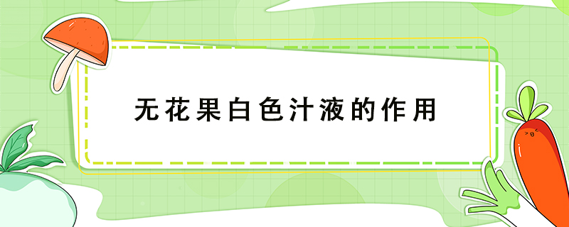 無(wú)花果白色汁液的作用