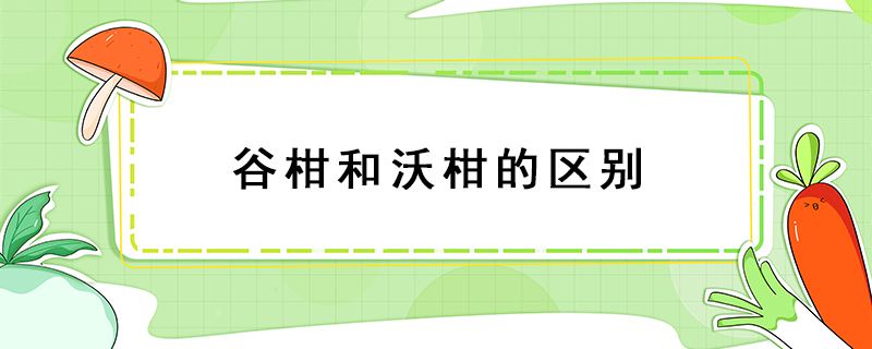 谷柑和沃柑的區(qū)別