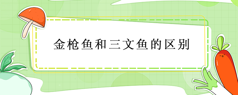 金槍魚(yú)和三文魚(yú)的區(qū)別