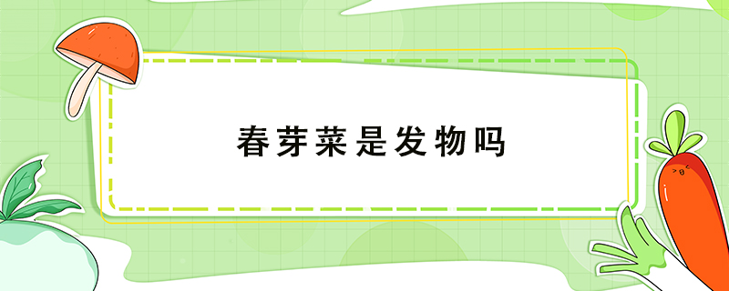 春芽菜是發(fā)物嗎