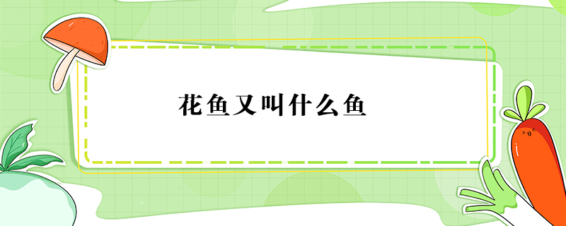花魚(yú)又叫什么魚(yú)