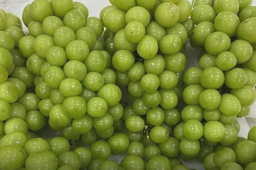 泰國曝進口陽光玫瑰葡萄檢測95%有毒殘
